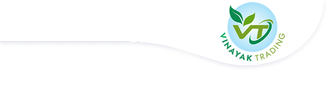 Vinayak Trading Company