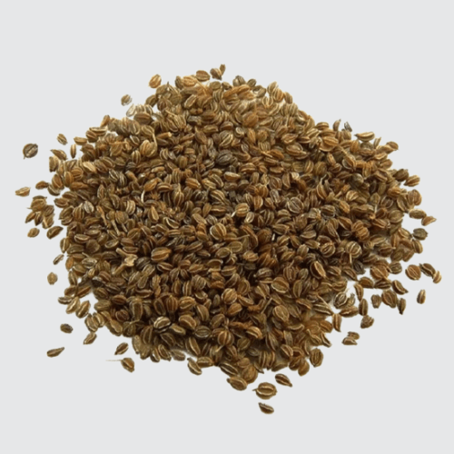 Ajmoda / Celery seed / Apium graveolens