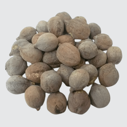 Baheda whole / Terminalia bellirica