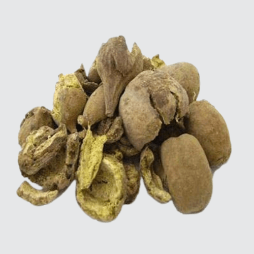 Bahera Chhilka / Beleric Myrobalan	/ Terminalia bellirica