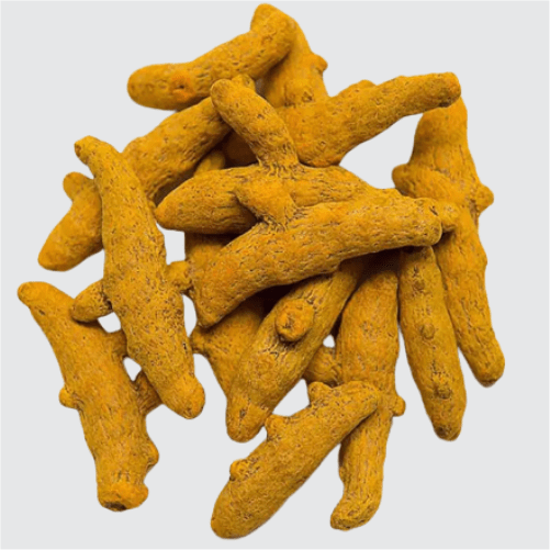 Haldi / Turmeric / Curcuma longa