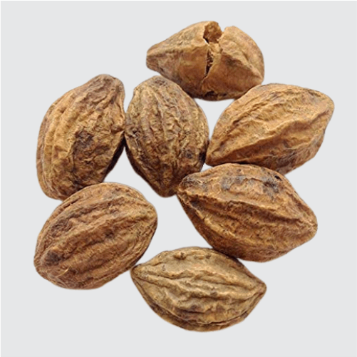 Harad/Terminalia chebula