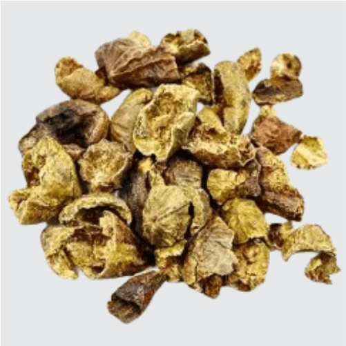 Harad Chhilka/Terminalia chebula