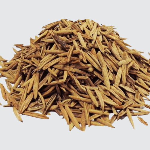 Idrajau / Conessi Seeds