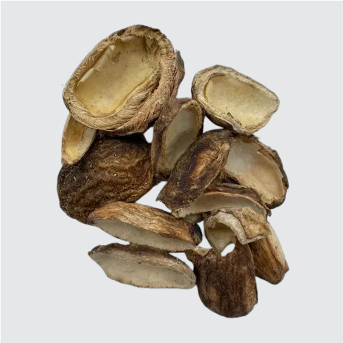 Khapta / Dried mango slice / Mangifera indica