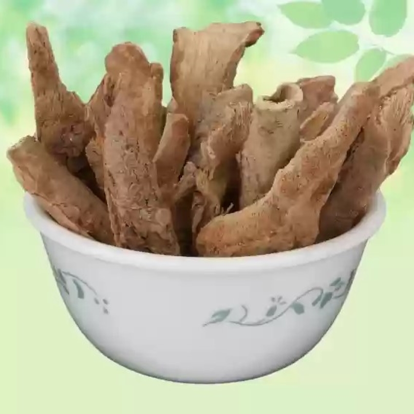 Lodh Chal / Symplocos racemosa