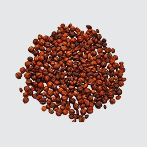 Malkangni Seed