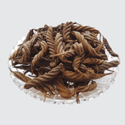 Marod Phali / Nut Leaved Screw Tree / Helicteres isora