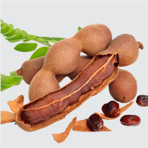 Tamarind